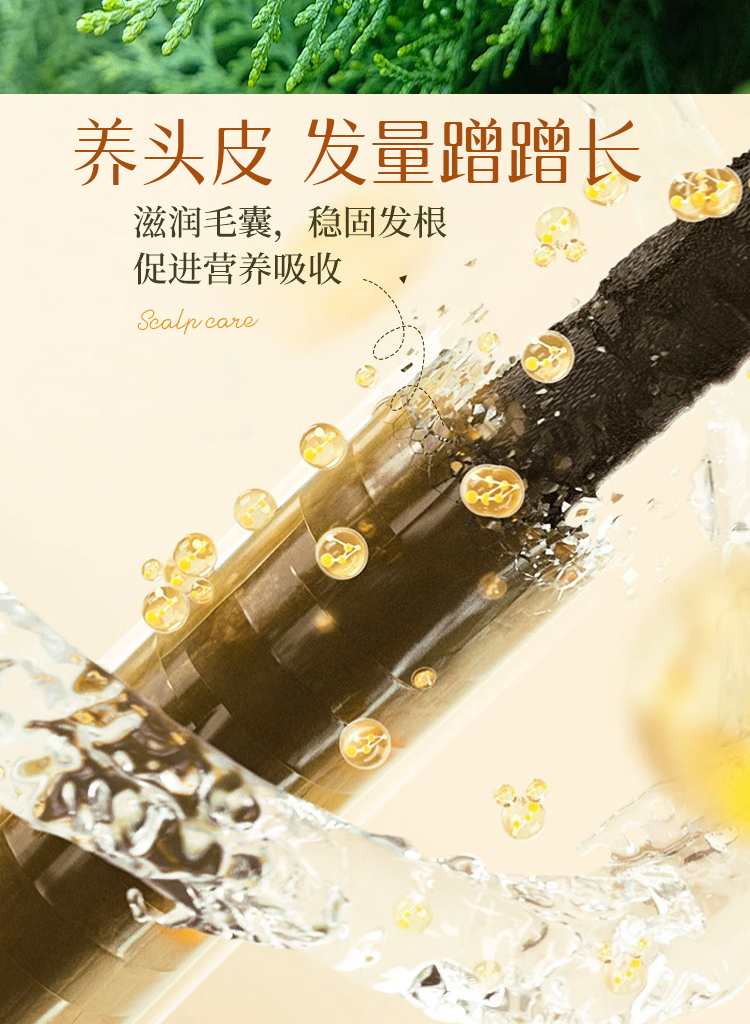 宝丝捷防脱固发洗发水---750X1024详情页6.jpg
